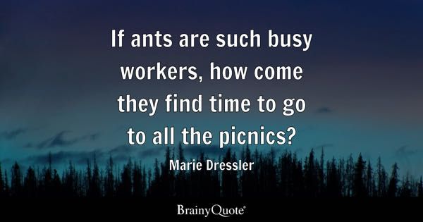 if ants are such busy workers